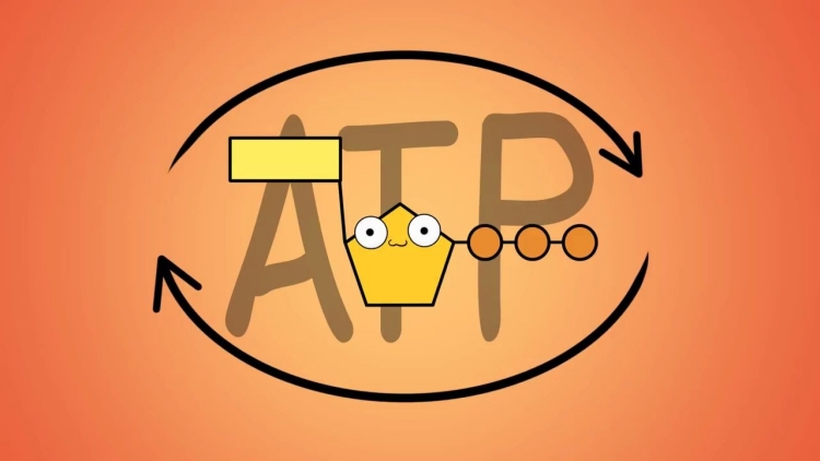 ATP快速熒光檢測儀是一種高效、準(zhǔn)確、易操作的設(shè)備